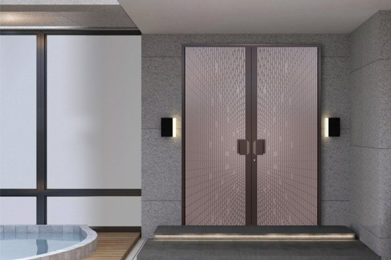 Modern aluminum framed entry door with glass panels