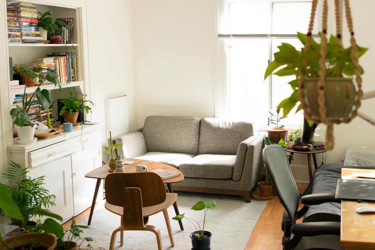 Indoor plants and natural light connecting to entry space