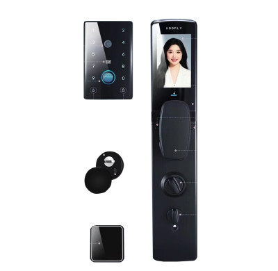 Hl-C15 Smart lock