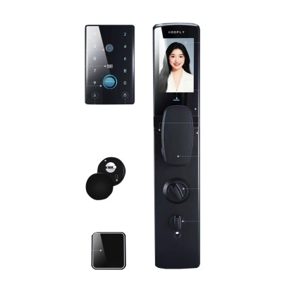 Hl-C15 Smart lock