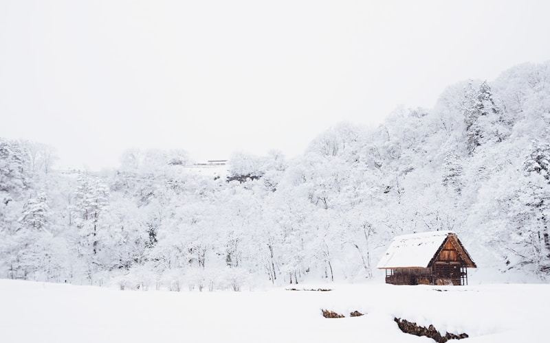 Winter snow conditions