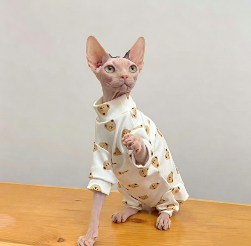 Custom Bear Print Four-Leg Pet Pajamas | OEM Pet Apparel Manufacturer