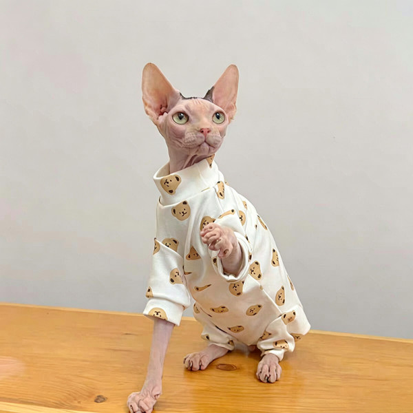 Custom Bear Print Four-Leg Pet Pajamas | OEM Pet Apparel Manufacturer