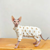 Custom Bear Print Four-Leg Pet Pajamas | OEM Pet Apparel Manufacturer
