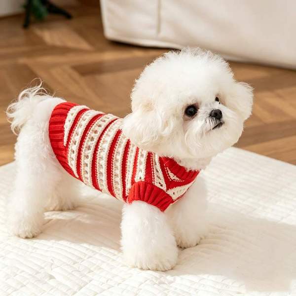 Custom Red & White Knit Pet Sweater | OEM Dog Knitwear Manufacturer