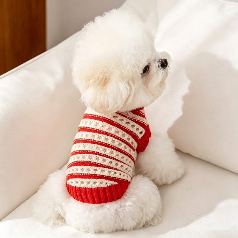 Back view of a red and white striped pet knit sweater
