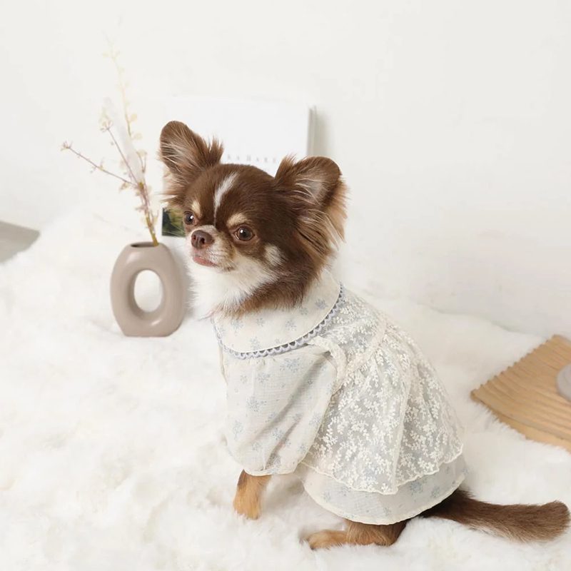 Side view of powder blue layered lace ruffle dog dress