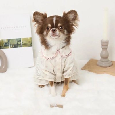 Floral Lace Ruffle Dog Dress with Puff Sleeves | Private Label Pet Apparel