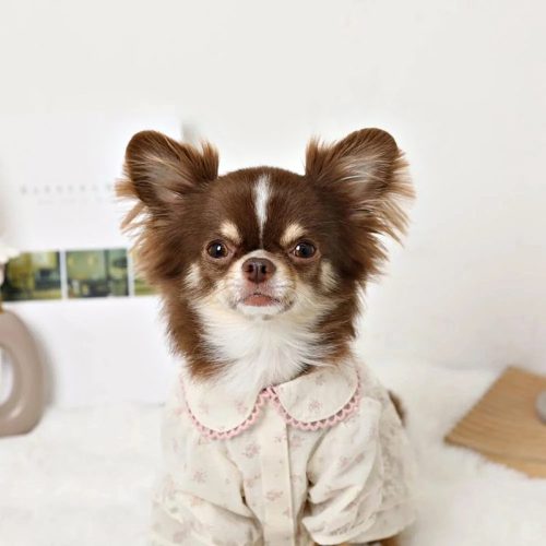 Floral Lace Ruffle Dog Dress with Puff Sleeves | Private Label Pet Apparel