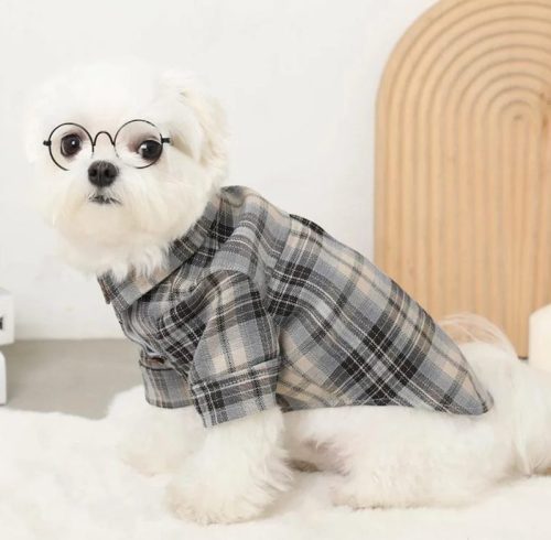 Plaid Collared Dog Shirt with Button Front | Custom Petwear Sourcing