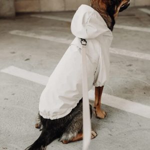 Packable Hooded Dog Raincoat with Leash Attachment | Custom Dog Rainwear Supplier