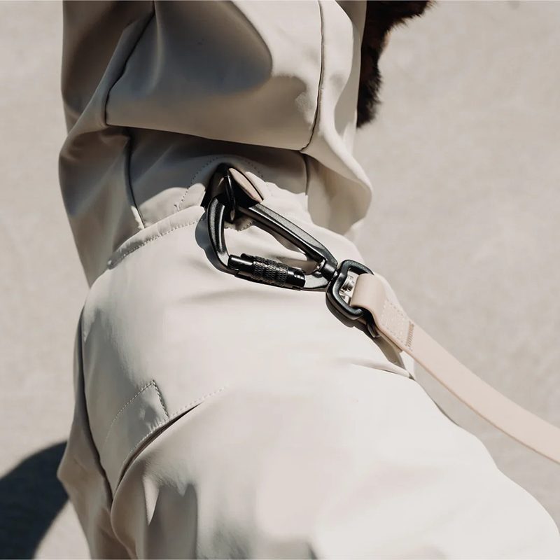 Back leash attachment hardware on packable hooded dog raincoat