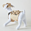 Dog Workwear Jacket | Polyester Cargo Dog Coat Outdoor Apparel | OEM Manufacturer