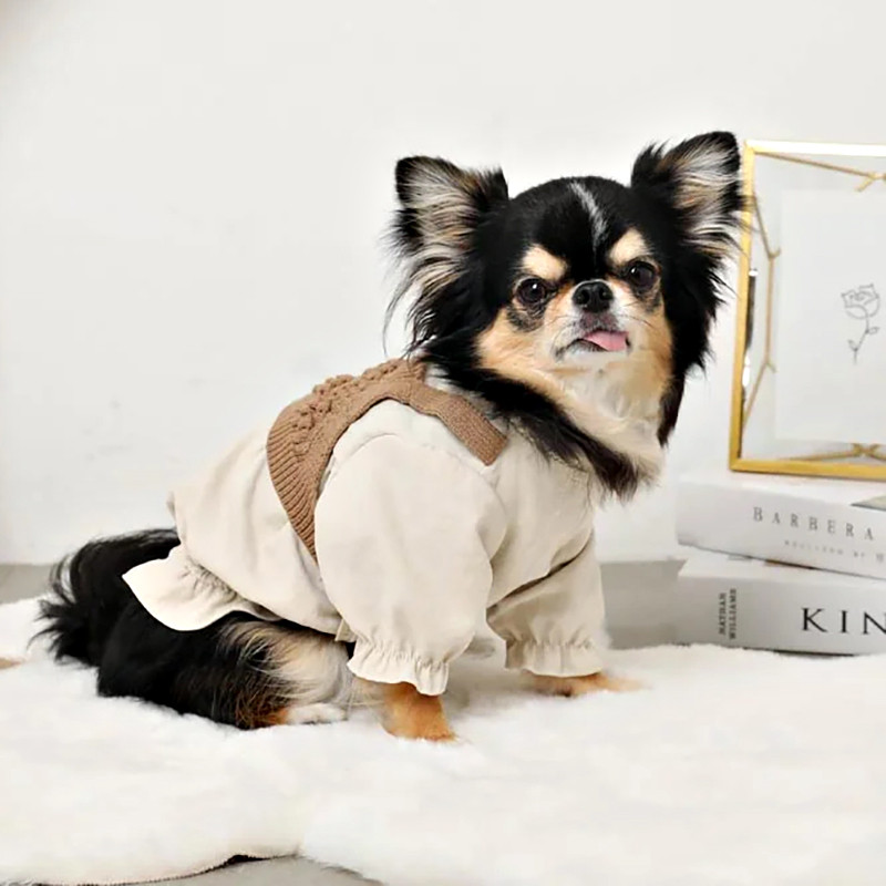 Dog knit camisole tank top front view