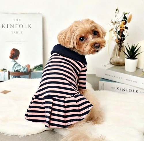 Dog Striped Knit Shirt Dress | Thick Knit School-Style Pet Dress | OEM Manufacturer
