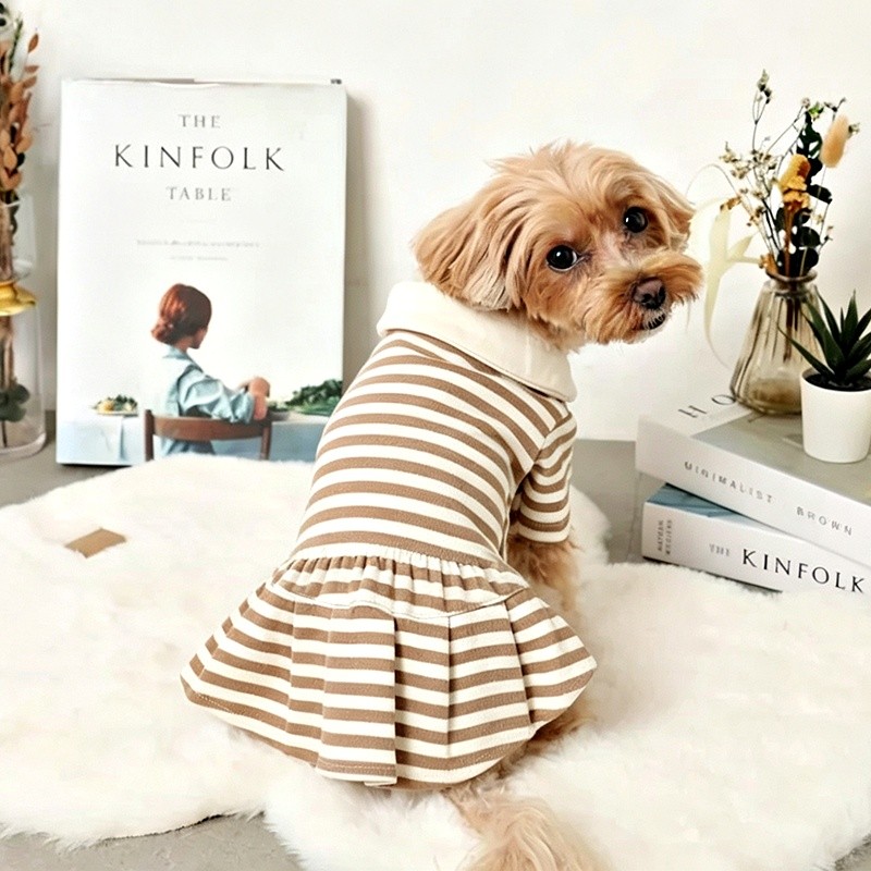 Dog striped shirt dress collar and stripe detail