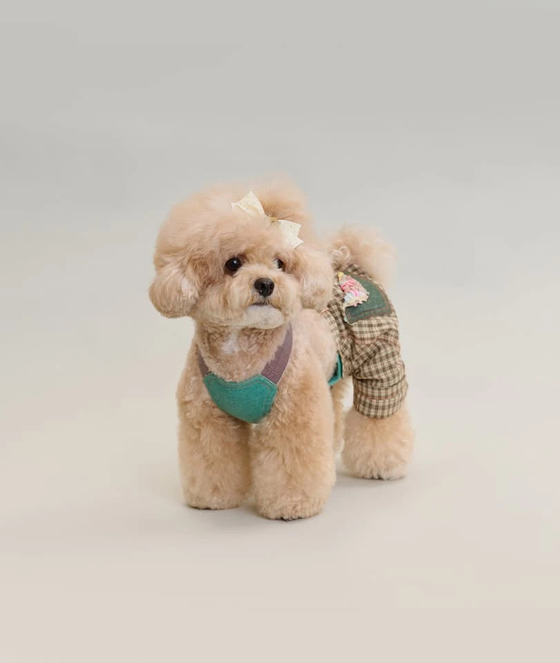 Side view of vintage brown plaid dog overall shorts