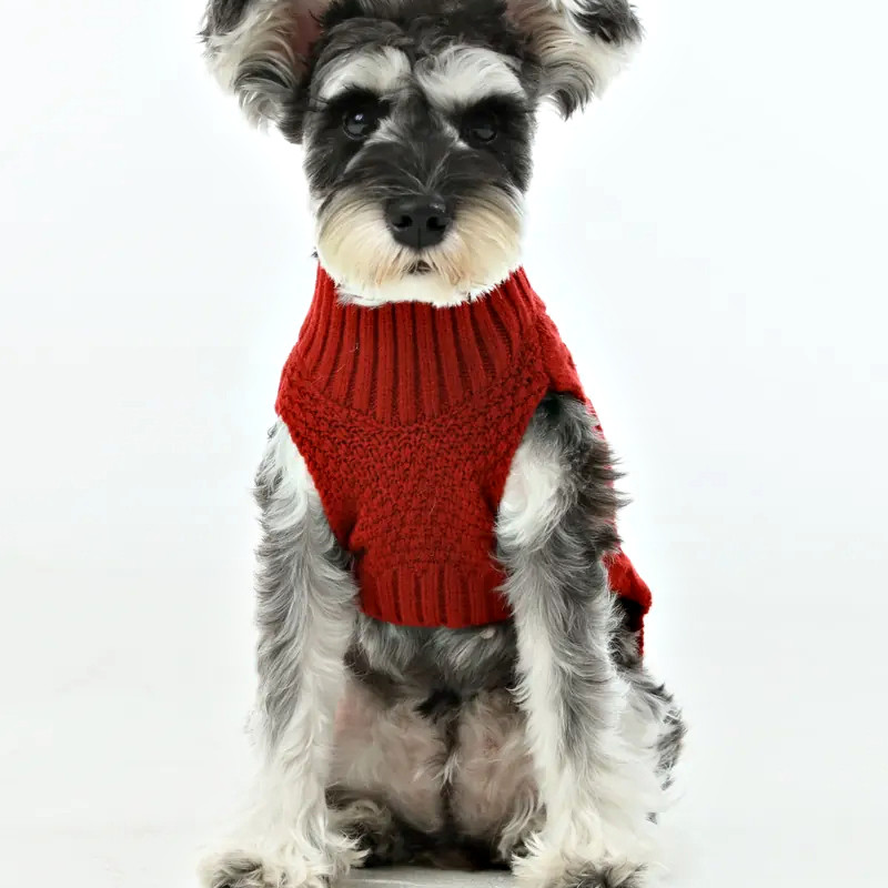 Dog knit sweater vest on hanger