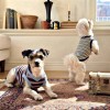 Dog Striped Knit Vest | High-Stretch V-Neck Pet Apparel for All-Season Layering | Private Label Pet Apparel Manufacturer