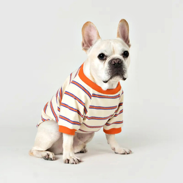 Dog Striped Pocket T-Shirt | Soft Jersey Pet Tee for Casual Everyday Wear | Custom Pet Apparel Supplier