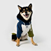 Dog Color-Block Hooded T-Shirt | Casual Pullover Pet Tee with Hood | Dog Apparel Manufacturer
