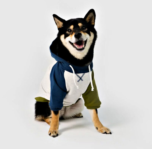 Dog Color-Block Hooded T-Shirt | Casual Pullover Pet Tee with Hood | Dog Apparel Manufacturer