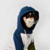 Dog Color-Block Hooded T-Shirt | Casual Pullover Pet Tee with Hood | Dog Apparel Manufacturer
