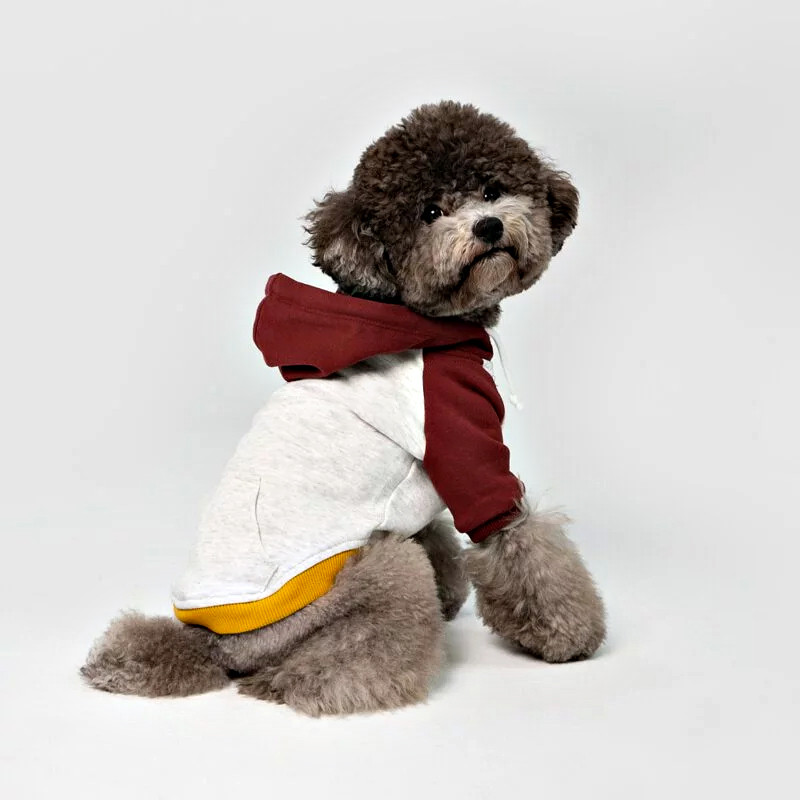 Dog color-block hooded t-shirt front view