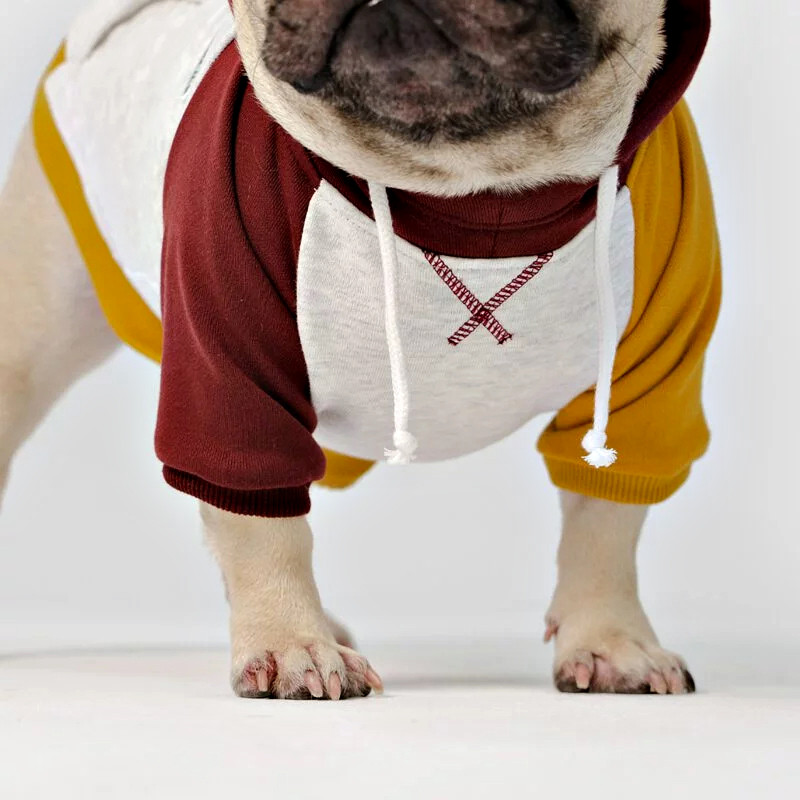 Dog color-block hooded t-shirt on dog