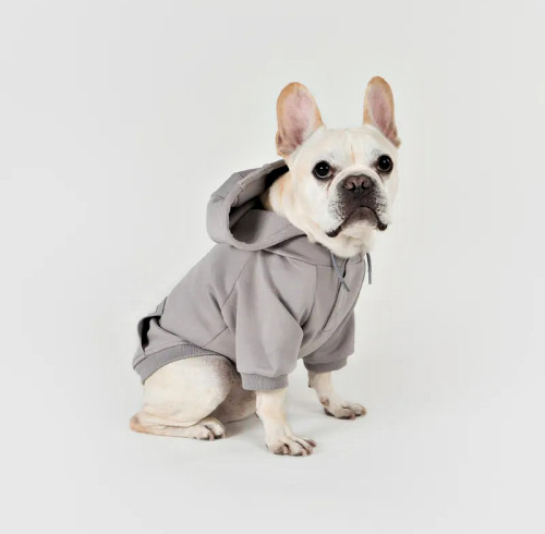 Custom Short-Sleeve Dog Hoodie with Snap Placket and Back Pocket