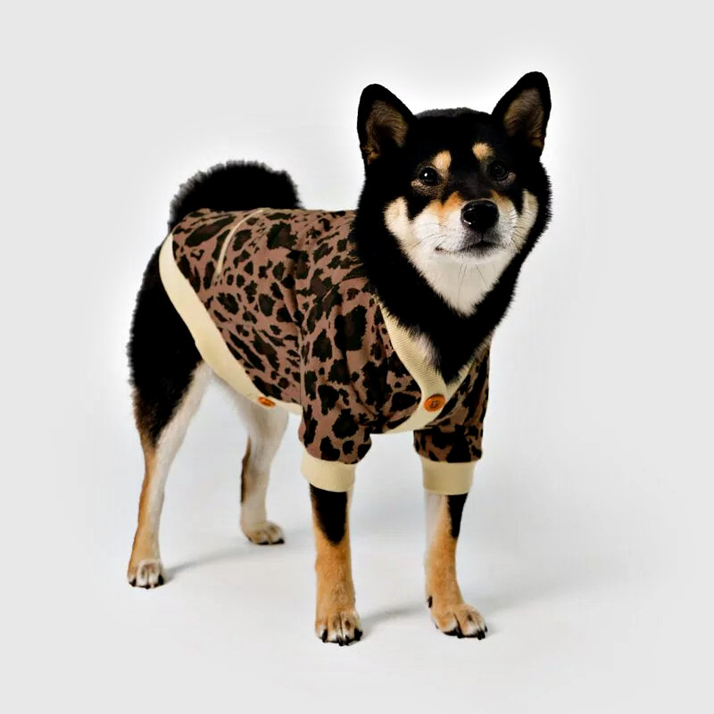Leopard print dog cardigan front view