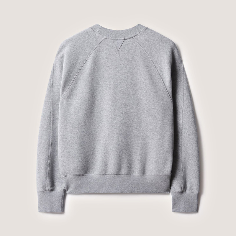 Sweatshirt back view plain