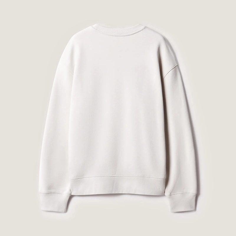 Sweatshirt back view plain