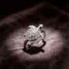 Hawksbill Turtle Pavé Rings | Personalized | for Boutique Collections | 925 Silver | CZ / Moissanite