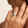Emperor Penguin Relief Rings | 925 Silver | CZ / Moissanite | for Travel Jewelry | Hengdian Silver