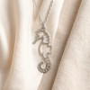 Tiger-tail Seahorse Line Necklaces | 925 Silver | CZ / Moissanite | Bespoke | Hengdian Silver