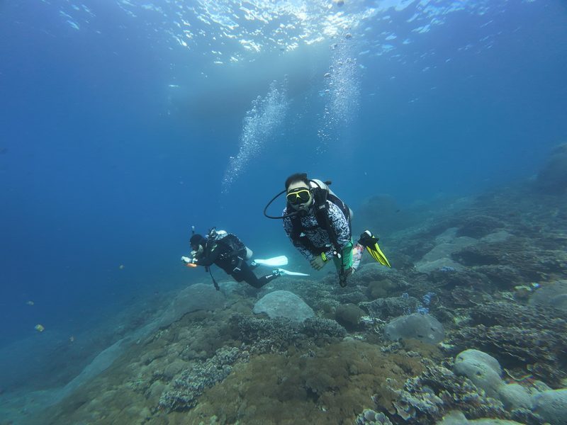 Diving over coral formations — the firsthand experience behind the Ocean Collection
