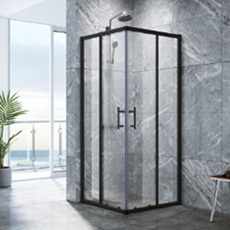 Shower Screen