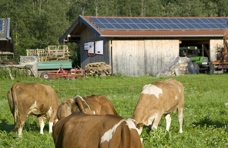 Almacenamiento de energía con baterías de litio en una granja alpina