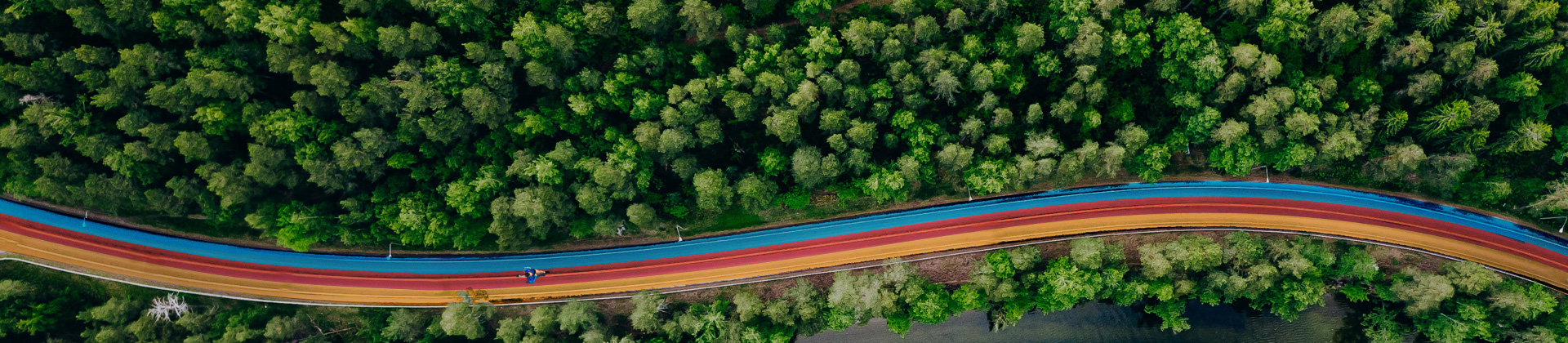 A EPDM granules track in a forest