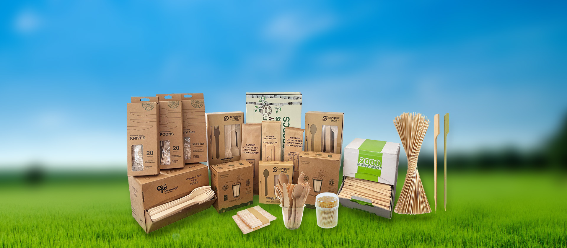 Su proveedor de soluciones de suministros de catering biodegradables desechables.