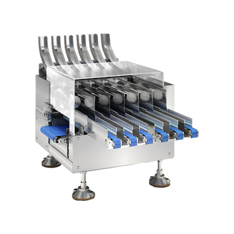 Multi-lane Checkweigher SCP6