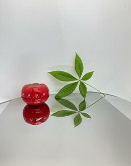 Mirror polished